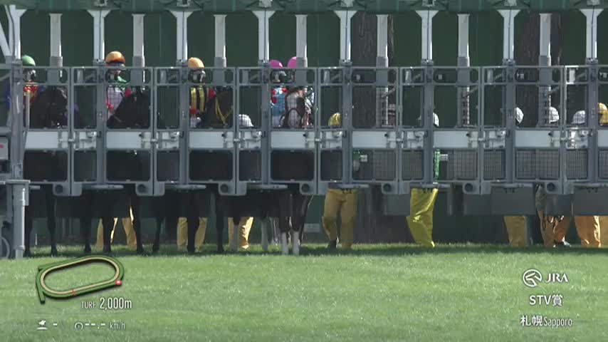 競馬パネル：ホクトベガ「1994年第30回札幌記念」 ※プレート付き 1994年 札幌記念（GⅢ） | ホクトベガ | JRA公式 - YouTube