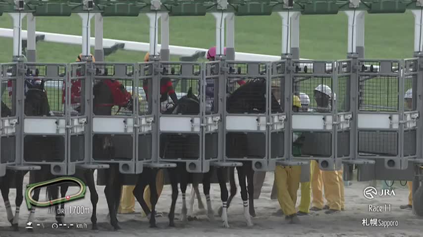 競馬パネル：ホクトベガ「1994年第30回札幌記念」 ※プレート付き 1994年 札幌記念（GⅢ） | ホクトベガ | JRA公式 - YouTube