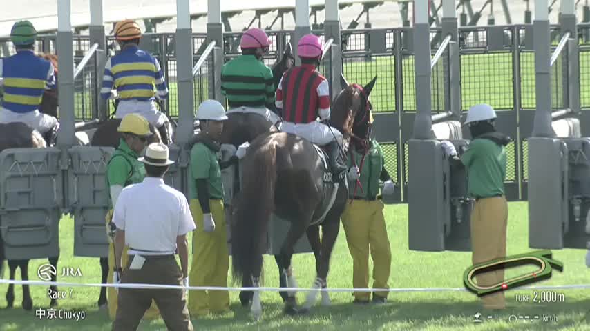高山S(3勝クラス) レース映像 | 2025年8月16日 中京7R レース
