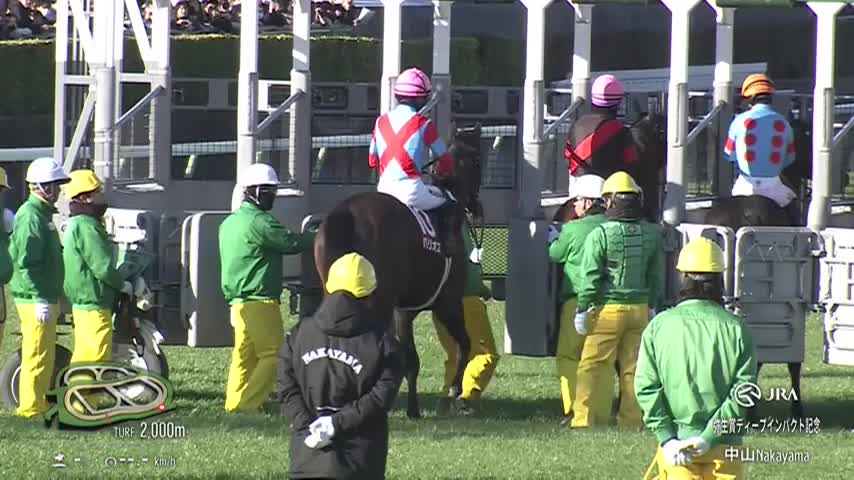 �����ޥǥ����׵�ǰ �졼������