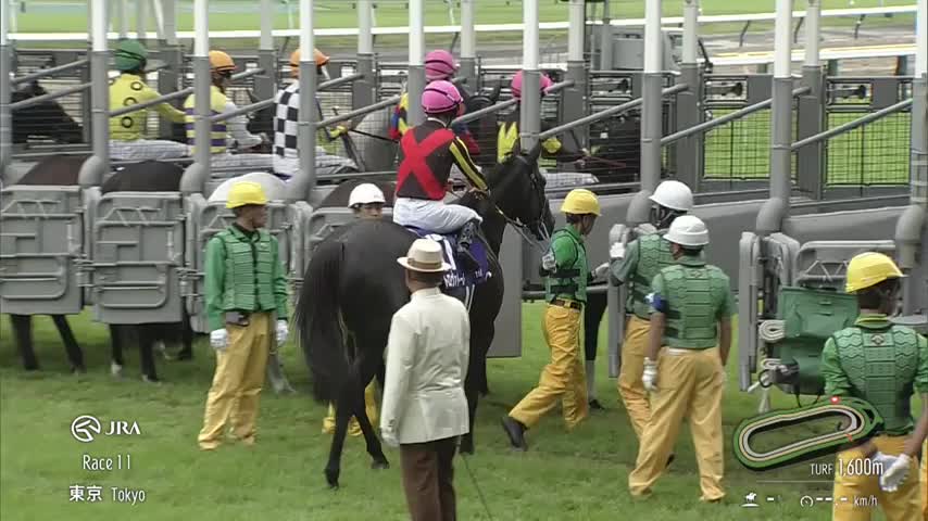 安田記念 レース映像
