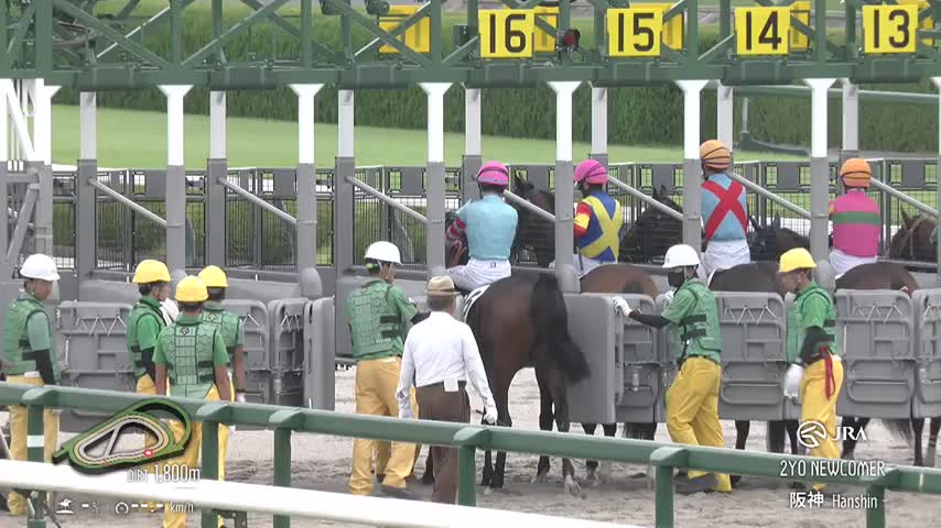 johin 6月15日 Full Result | 27 SEP 2026 R6 Hanshin Racing Information (JRA